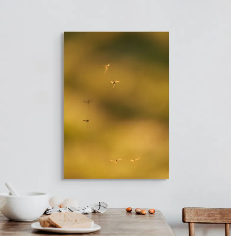 Tablou Canvas, "Dansul țânțarilor în lumina apusului", Țânțari, Zbor, Etereal, Apus, Delicatețe, Natură, 50 x 70 cm – poza 3