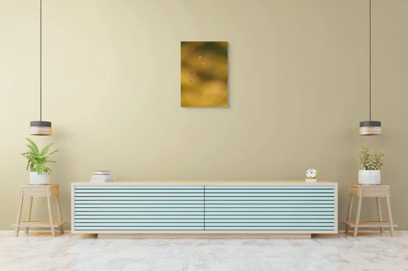 Tablou Canvas, "Dansul țânțarilor în lumina apusului", Țânțari, Zbor, Etereal, Apus, Delicatețe, Natură, 50 x 70 cm – poza 6