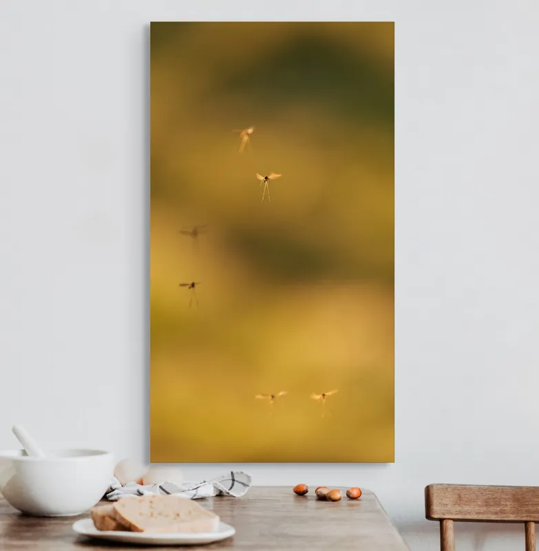 Tablou Canvas, "Dansul țânțarilor în lumina apusului", Țânțari, Zbor, Etereal, Apus, Delicatețe, Natură, 50 x 90 cm – poza 3