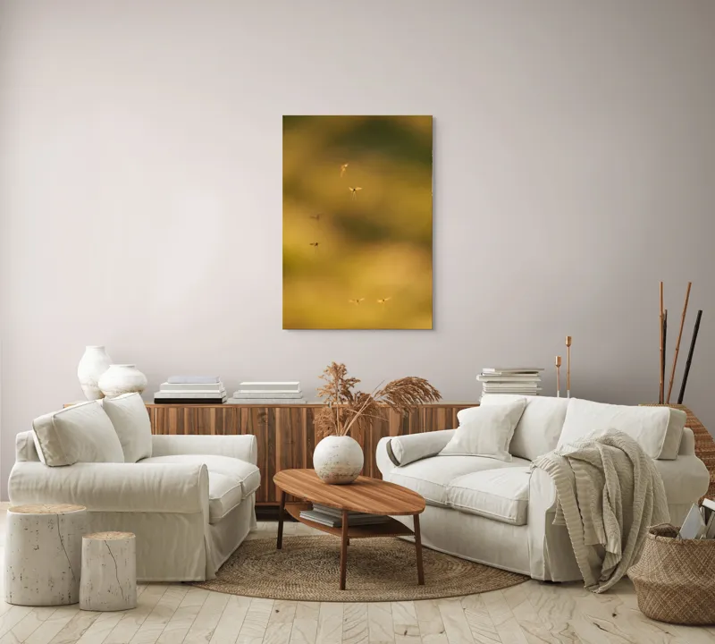 Tablou Canvas, "Dansul țânțarilor în lumina apusului", Țânțari, Zbor, Etereal, Apus, Delicatețe, Natură, 70 x 100 cm – poza 4