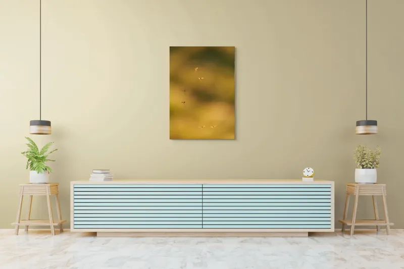 Tablou Canvas, "Dansul țânțarilor în lumina apusului", Țânțari, Zbor, Etereal, Apus, Delicatețe, Natură, 70 x 100 cm – poza 5