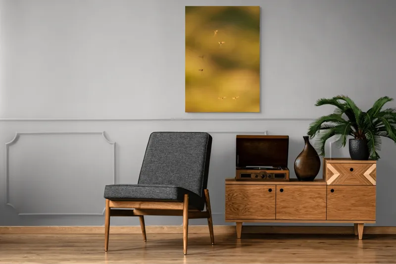 Tablou Canvas, "Dansul țânțarilor în lumina apusului", Țânțari, Zbor, Etereal, Apus, Delicatețe, Natură, 70 x 100 cm – poza 6