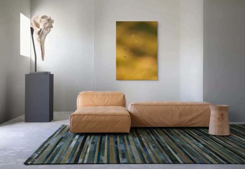 Tablou Canvas, "Dansul țânțarilor în lumina apusului", Țânțari, Zbor, Etereal, Apus, Delicatețe, Natură, 70 x 100 cm – poza 7