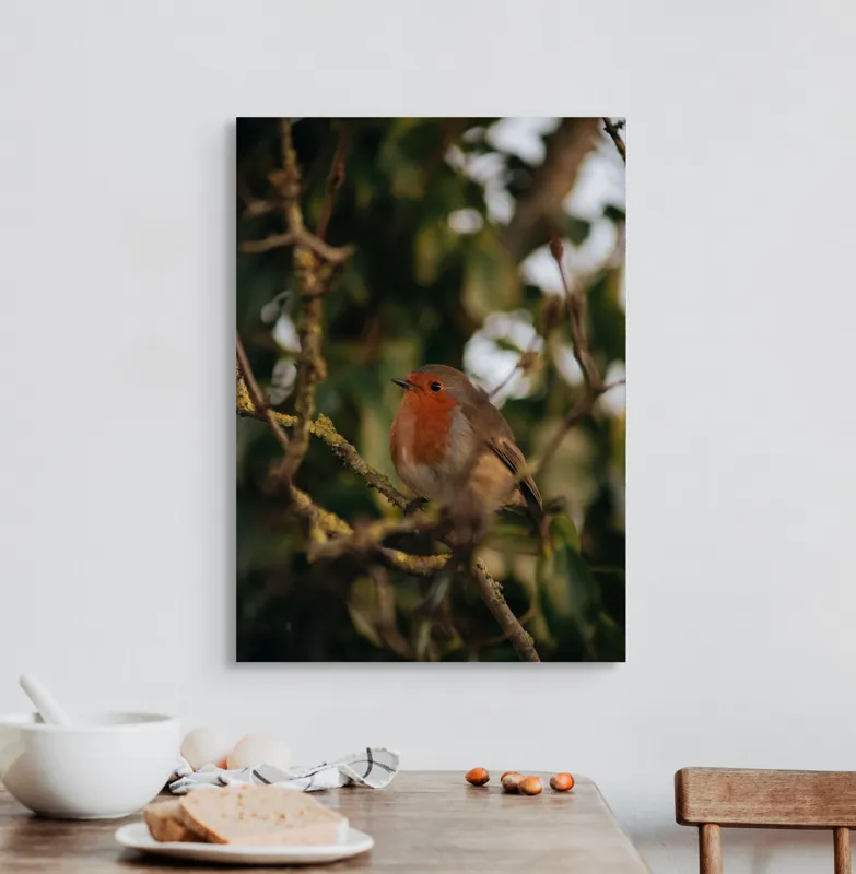 Tablou Canvas, "Mierlă în ramura umbrită de frunze", Pasăre, Crenguță, Roșu, Blândă, Frunziș, Verde, Contrast, Natură, Ochii, Frumusețe, 50 x 70 cm – poza 3