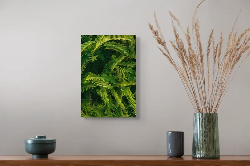 Tablou Canvas, "Ferigi verzi în lumina soarelui", Frunze, Verzi, Luxuriante, Natură, Abundență, Vegetație, Frumusețe, Vitalitate, Textură, Prospețime, 26 x 39 cm – poza 5