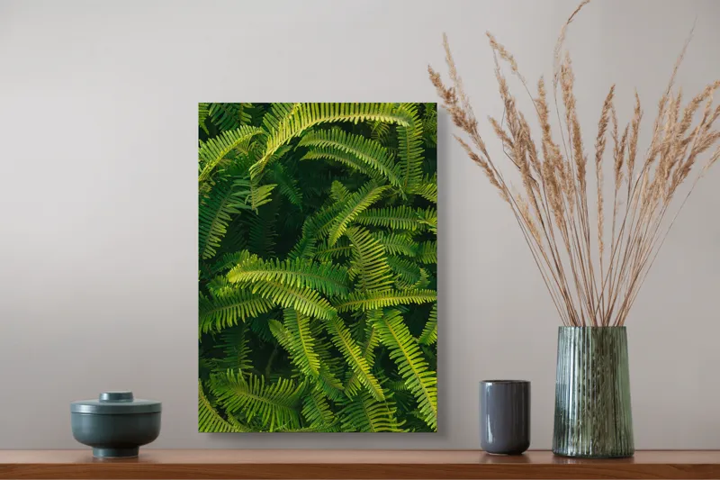 Tablou Canvas, "Ferigi verzi în lumina soarelui", Frunze, Verzi, Luxuriante, Natură, Abundență, Vegetație, Frumusețe, Vitalitate, Textură, Prospețime, 39 x 54 cm – poza 3