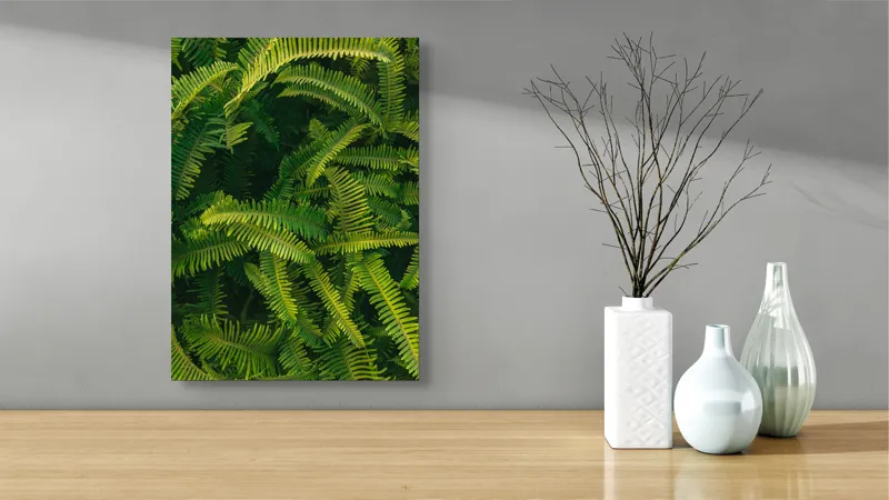 Tablou Canvas, "Ferigi verzi în lumina soarelui", Frunze, Verzi, Luxuriante, Natură, Abundență, Vegetație, Frumusețe, Vitalitate, Textură, Prospețime, 39 x 54 cm – poza 4