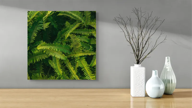 Tablou Canvas, "Ferigi verzi în lumina soarelui", Frunze, Verzi, Luxuriante, Natură, Abundență, Vegetație, Frumusețe, Vitalitate, Textură, Prospețime, 50 x 50 cm – poza 3