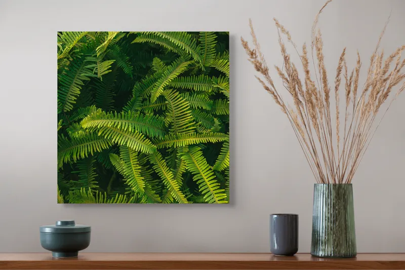 Tablou Canvas, "Ferigi verzi în lumina soarelui", Frunze, Verzi, Luxuriante, Natură, Abundență, Vegetație, Frumusețe, Vitalitate, Textură, Prospețime, 50 x 50 cm – poza 4