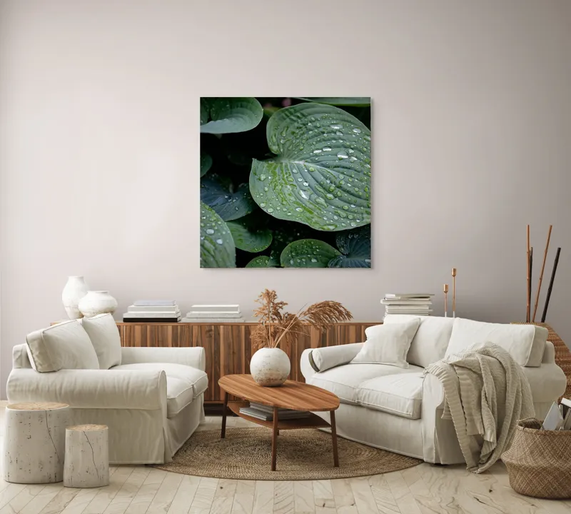 Tablou Canvas, "Picături de ploaie pe frunze verzi", Frunze, Verde, Picături, Apă, Prospețime, Natură, Textură, Lumină, Rouă, Vitalitate, 100 x 100 cm – poza 3