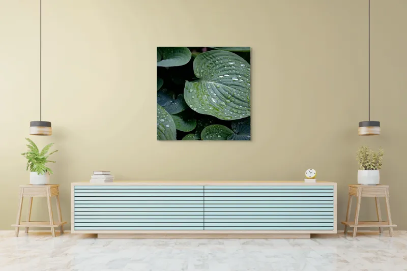 Tablou Canvas, "Picături de ploaie pe frunze verzi", Frunze, Verde, Picături, Apă, Prospețime, Natură, Textură, Lumină, Rouă, Vitalitate, 100 x 100 cm – poza 5