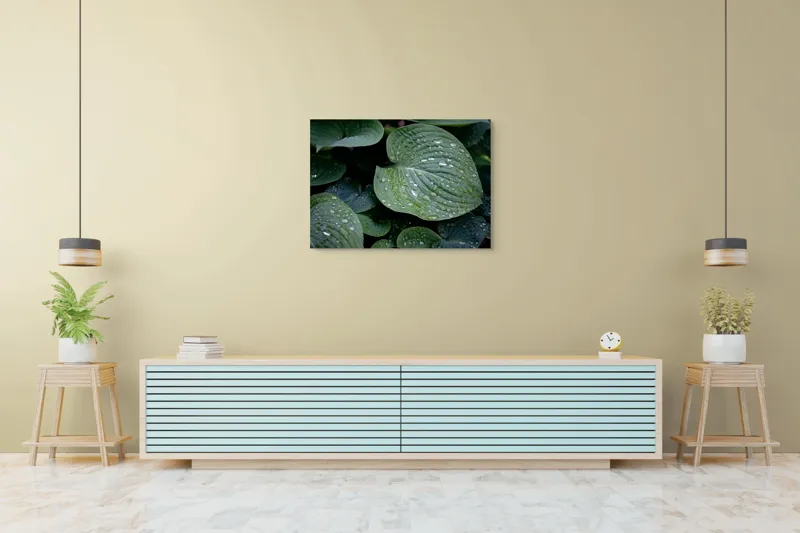 Tablou Canvas, "Picături de ploaie pe frunze verzi", Frunze, Verde, Picături, Apă, Prospețime, Natură, Textură, Lumină, Rouă, Vitalitate, 100 x 70 cm – poza 4