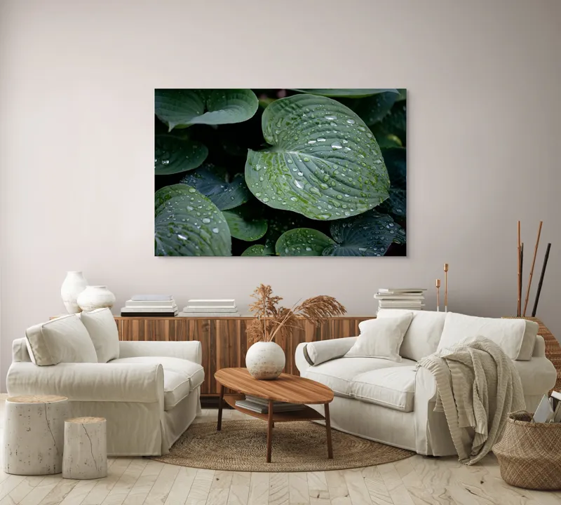 Tablou Canvas, "Picături de ploaie pe frunze verzi", Frunze, Verde, Picături, Apă, Prospețime, Natură, Textură, Lumină, Rouă, Vitalitate, 150 x 100 cm – poza 3