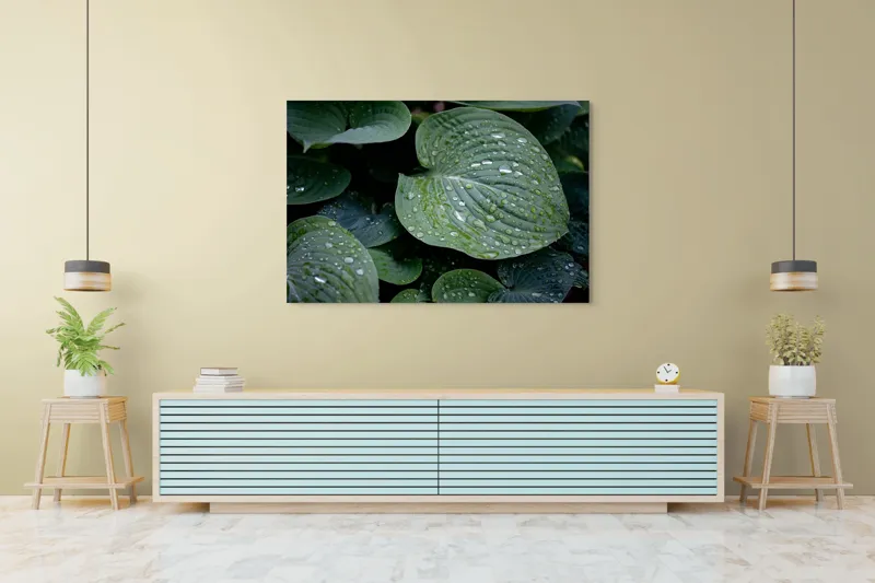 Tablou Canvas, "Picături de ploaie pe frunze verzi", Frunze, Verde, Picături, Apă, Prospețime, Natură, Textură, Lumină, Rouă, Vitalitate, 150 x 100 cm – poza 6