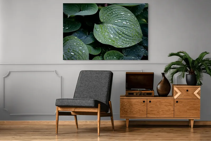 Tablou Canvas, "Picături de ploaie pe frunze verzi", Frunze, Verde, Picături, Apă, Prospețime, Natură, Textură, Lumină, Rouă, Vitalitate, 150 x 100 cm – poza 8