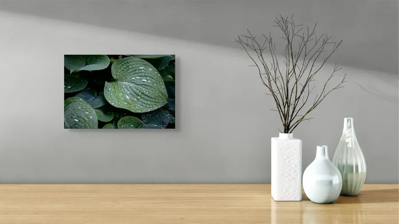 Tablou Canvas, "Picături de ploaie pe frunze verzi", Frunze, Verde, Picături, Apă, Prospețime, Natură, Textură, Lumină, Rouă, Vitalitate, 39 x 26 cm – poza 8