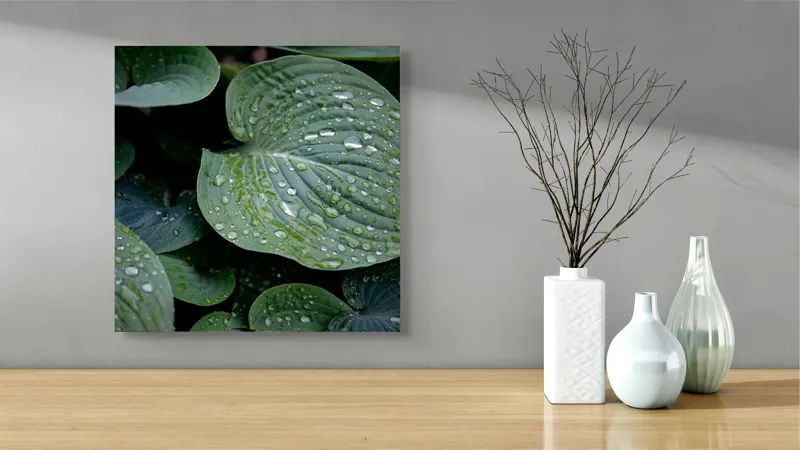 Tablou Canvas, "Picături de ploaie pe frunze verzi", Frunze, Verde, Picături, Apă, Prospețime, Natură, Textură, Lumină, Rouă, Vitalitate, 50 x 50 cm – poza 3