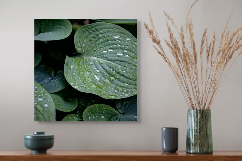 Tablou Canvas, "Picături de ploaie pe frunze verzi", Frunze, Verde, Picături, Apă, Prospețime, Natură, Textură, Lumină, Rouă, Vitalitate, 50 x 50 cm – poza 4