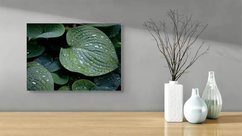 Tablou Canvas, "Picături de ploaie pe frunze verzi", Frunze, Verde, Picături, Apă, Prospețime, Natură, Textură, Lumină, Rouă, Vitalitate, 54 x 39 cm – poza 3