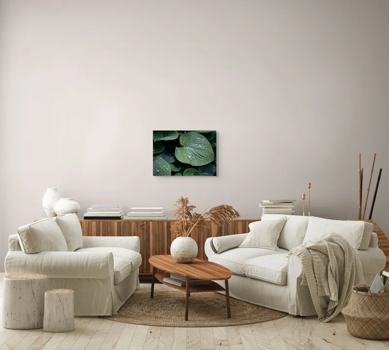 Tablou Canvas, "Picături de ploaie pe frunze verzi", Frunze, Verde, Picături, Apă, Prospețime, Natură, Textură, Lumină, Rouă, Vitalitate, 54 x 39 cm – poza 5