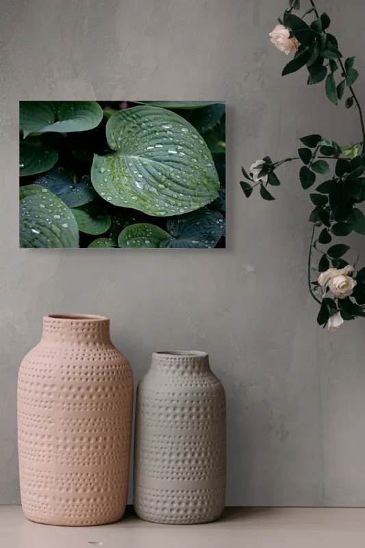 Tablou Canvas, "Picături de ploaie pe frunze verzi", Frunze, Verde, Picături, Apă, Prospețime, Natură, Textură, Lumină, Rouă, Vitalitate, 54 x 39 cm – poza 8