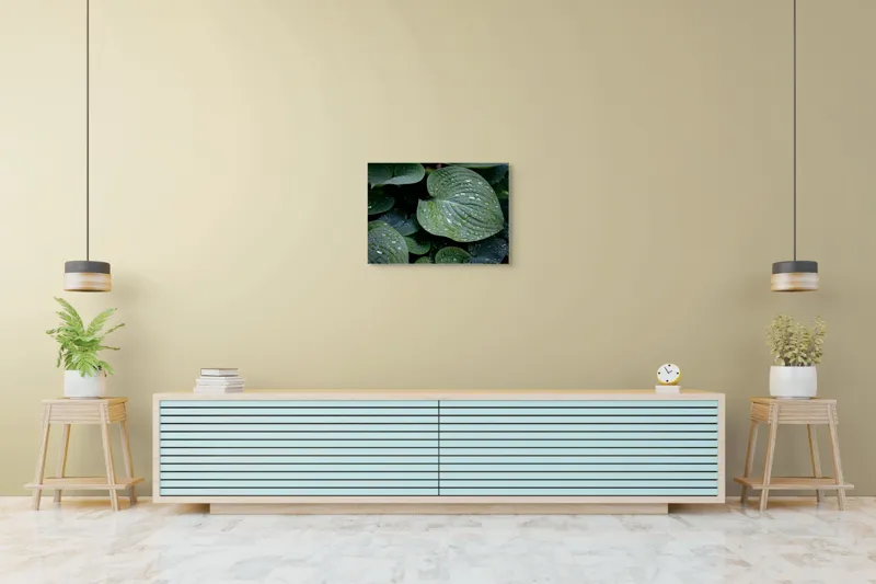 Tablou Canvas, "Picături de ploaie pe frunze verzi", Frunze, Verde, Picături, Apă, Prospețime, Natură, Textură, Lumină, Rouă, Vitalitate, 70 x 50 cm – poza 7