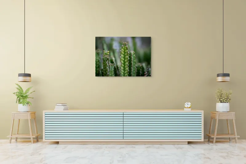 Tablou Canvas, "Cactuși înverziți sub cer senin", Spini, Verde, Textură, Cactuși, Natură, Asprime, Sălbăticie, Contrast, Detaliu, Exotic., 100 x 70 cm – poza 4