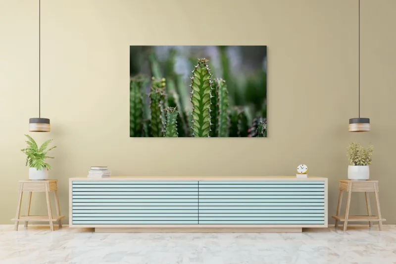 Tablou Canvas, "Cactuși înverziți sub cer senin", Spini, Verde, Textură, Cactuși, Natură, Asprime, Sălbăticie, Contrast, Detaliu, Exotic., 150 x 100 cm – poza 6