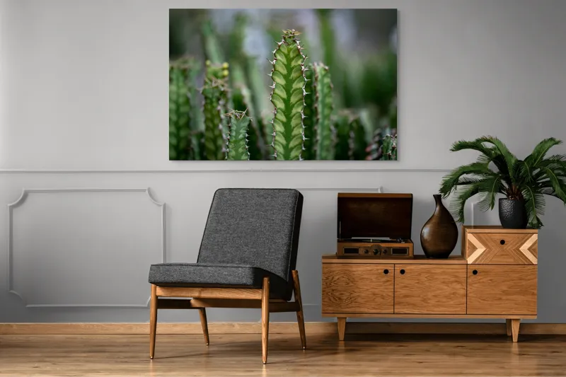 Tablou Canvas, "Cactuși înverziți sub cer senin", Spini, Verde, Textură, Cactuși, Natură, Asprime, Sălbăticie, Contrast, Detaliu, Exotic., 150 x 100 cm – poza 8
