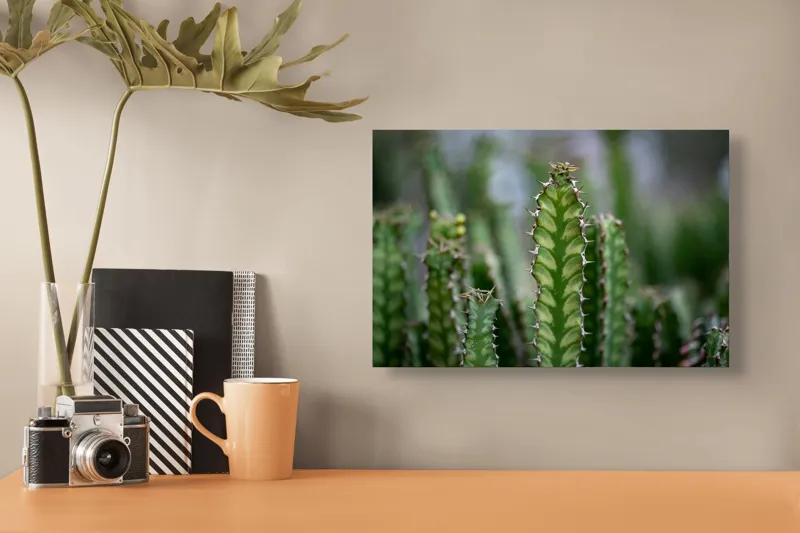 Tablou Canvas, "Cactuși înverziți sub cer senin", Spini, Verde, Textură, Cactuși, Natură, Asprime, Sălbăticie, Contrast, Detaliu, Exotic., 39 x 26 cm – poza 3