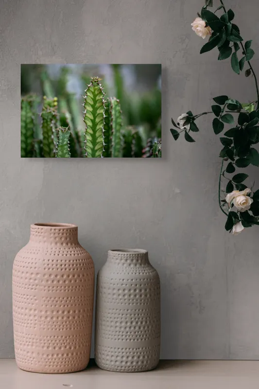 Tablou Canvas, "Cactuși înverziți sub cer senin", Spini, Verde, Textură, Cactuși, Natură, Asprime, Sălbăticie, Contrast, Detaliu, Exotic., 39 x 26 cm – poza 4