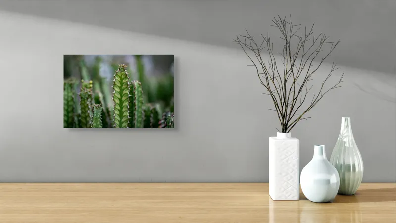 Tablou Canvas, "Cactuși înverziți sub cer senin", Spini, Verde, Textură, Cactuși, Natură, Asprime, Sălbăticie, Contrast, Detaliu, Exotic., 39 x 26 cm – poza 8
