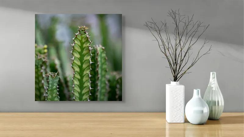Tablou Canvas, "Cactuși înverziți sub cer senin", Spini, Verde, Textură, Cactuși, Natură, Asprime, Sălbăticie, Contrast, Detaliu, Exotic., 50 x 50 cm – poza 3