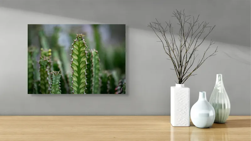 Tablou Canvas, "Cactuși înverziți sub cer senin", Spini, Verde, Textură, Cactuși, Natură, Asprime, Sălbăticie, Contrast, Detaliu, Exotic., 54 x 39 cm – poza 3