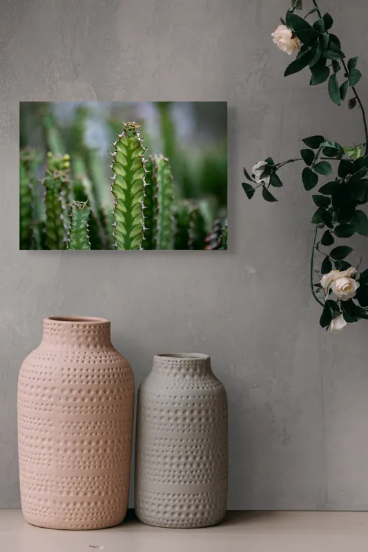 Tablou Canvas, "Cactuși înverziți sub cer senin", Spini, Verde, Textură, Cactuși, Natură, Asprime, Sălbăticie, Contrast, Detaliu, Exotic., 54 x 39 cm – poza 8