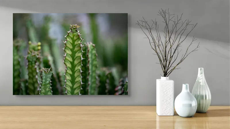 Tablou Canvas, "Cactuși înverziți sub cer senin", Spini, Verde, Textură, Cactuși, Natură, Asprime, Sălbăticie, Contrast, Detaliu, Exotic., 70 x 50 cm – poza 3