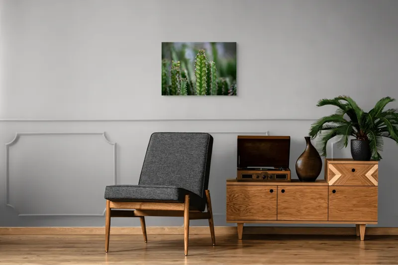 Tablou Canvas, "Cactuși înverziți sub cer senin", Spini, Verde, Textură, Cactuși, Natură, Asprime, Sălbăticie, Contrast, Detaliu, Exotic., 70 x 50 cm – poza 4