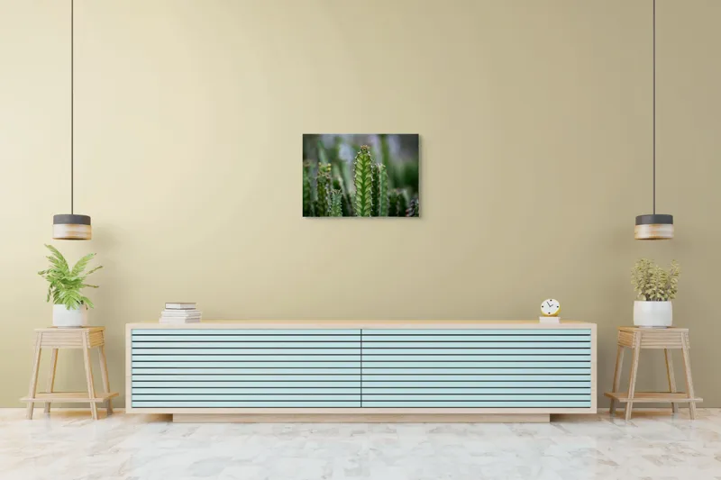 Tablou Canvas, "Cactuși înverziți sub cer senin", Spini, Verde, Textură, Cactuși, Natură, Asprime, Sălbăticie, Contrast, Detaliu, Exotic., 70 x 50 cm – poza 7