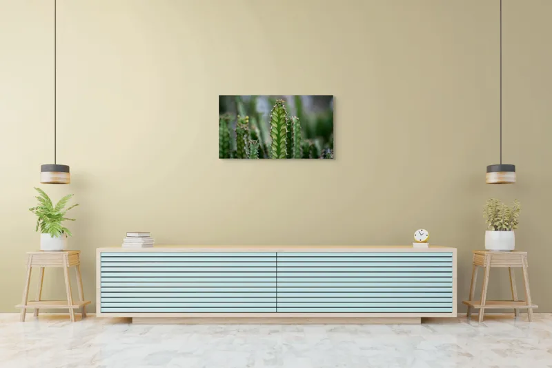 Tablou Canvas, "Cactuși înverziți sub cer senin", Spini, Verde, Textură, Cactuși, Natură, Asprime, Sălbăticie, Contrast, Detaliu, Exotic., 90 x 50 cm – poza 5