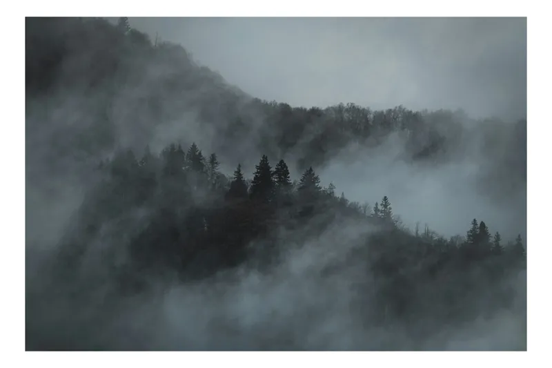 Tablou Canvas, "Misterul pădurii în ceață albăstruie", Cețuri, Melancolie, Taină, Înălțimi, Umbre, Serenitate, Natură, Mister, Pădure, Liniște, 70 x 50 cm