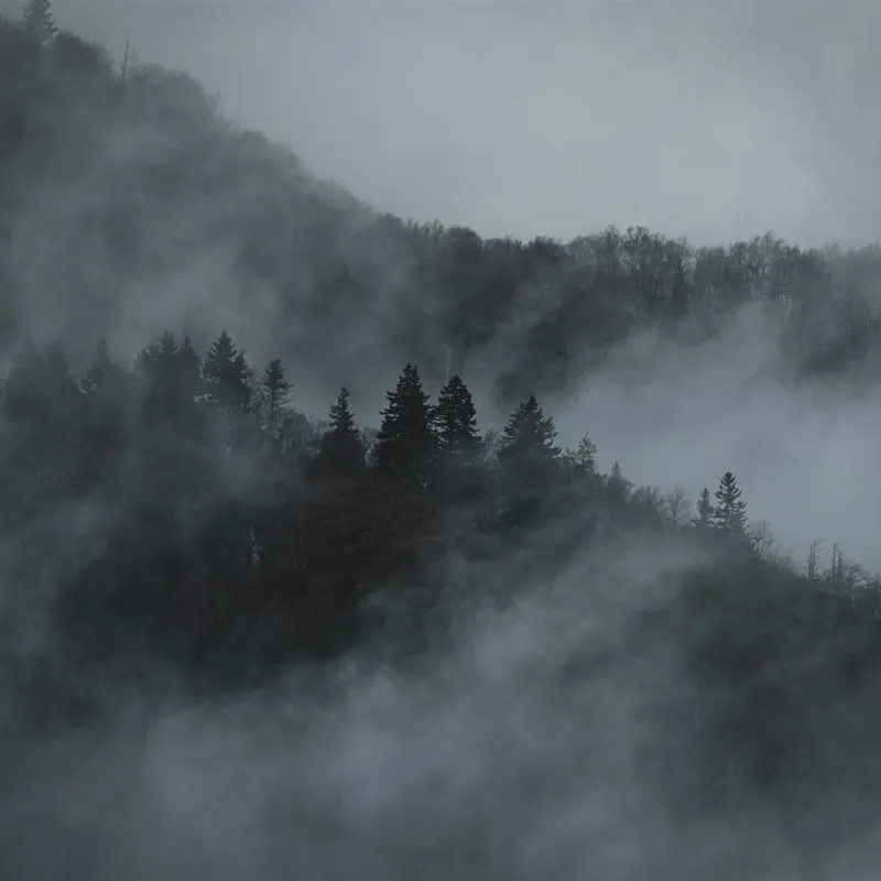 Tablou Canvas, "Misterul pădurii în ceață albăstruie", Cețuri, Melancolie, Taină, Înălțimi, Umbre, Serenitate, Natură, Mister, Pădure, Liniște, 100 x 100 cm – poza 2