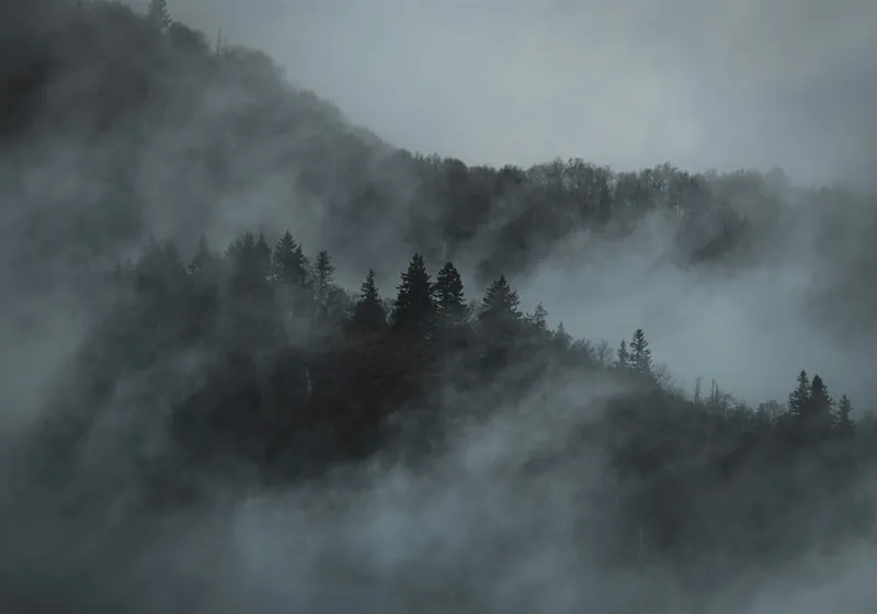 Tablou Canvas, "Misterul pădurii în ceață albăstruie", Cețuri, Melancolie, Taină, Înălțimi, Umbre, Serenitate, Natură, Mister, Pădure, Liniște, 100 x 70 cm – poza 2