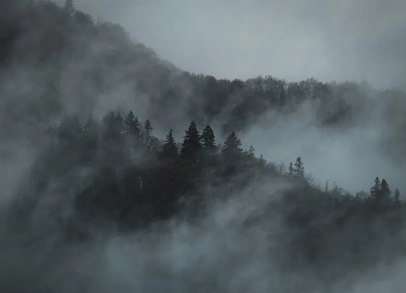 Tablou Canvas, "Misterul pădurii în ceață albăstruie", Cețuri, Melancolie, Taină, Înălțimi, Umbre, Serenitate, Natură, Mister, Pădure, Liniște, 54 x 39 cm – poza 2