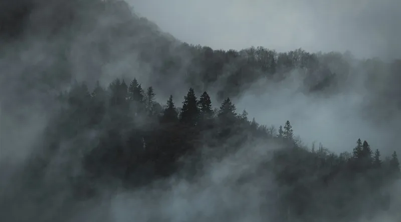 Tablou Canvas, "Misterul pădurii în ceață albăstruie", Cețuri, Melancolie, Taină, Înălțimi, Umbre, Serenitate, Natură, Mister, Pădure, Liniște, 90 x 50 cm – poza 2
