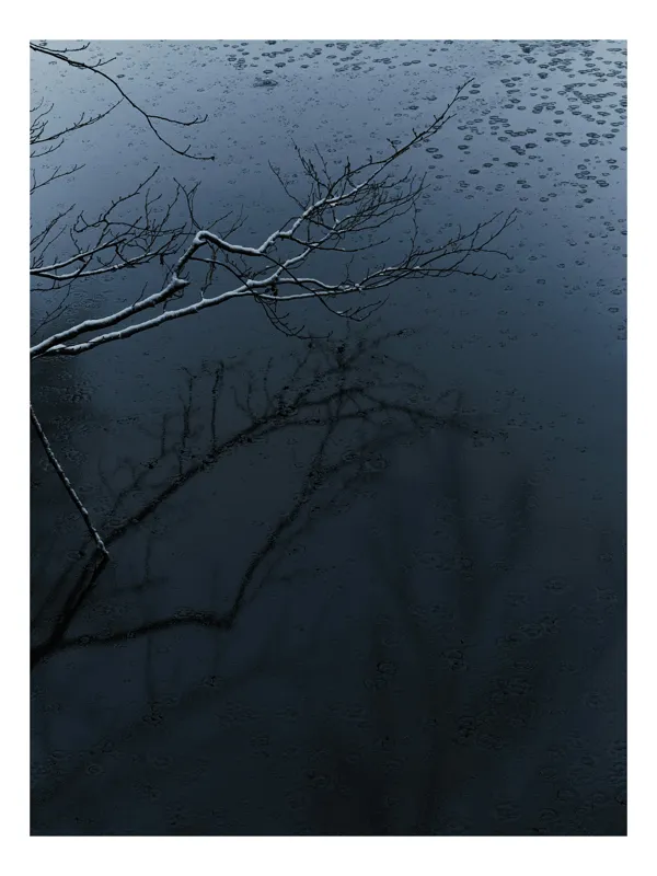 Tablou Canvas, "Reflecții și tăcere sub ploaie", Ramură, Reflexie, Apă, Ploaie, Umbre, Întuneric, Liniște, 39 x 54 cm