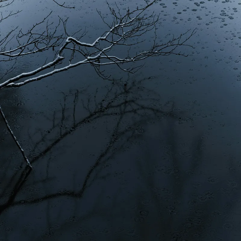 Tablou Canvas, "Reflecții și tăcere sub ploaie", Ramură, Reflexie, Apă, Ploaie, Umbre, Întuneric, Liniște, 100 x 100 cm – poza 2