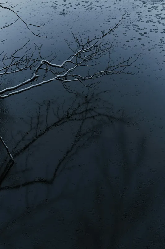 Tablou Canvas, "Reflecții și tăcere sub ploaie", Ramură, Reflexie, Apă, Ploaie, Umbre, Întuneric, Liniște, 100 x 150 cm – poza 2