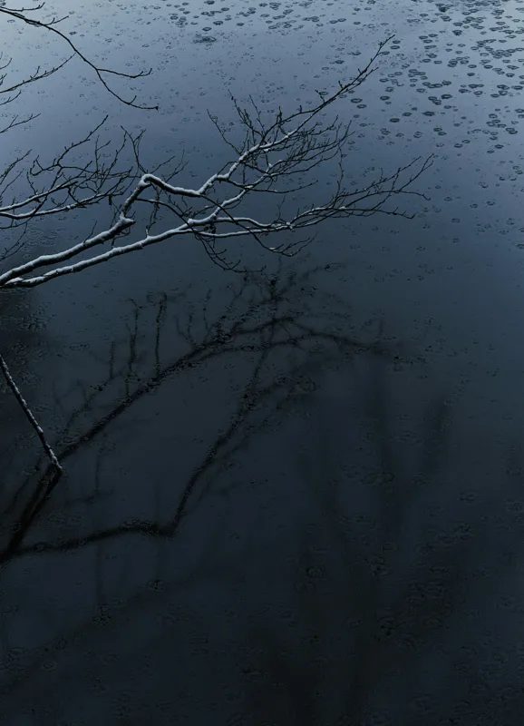 Tablou Canvas, "Reflecții și tăcere sub ploaie", Ramură, Reflexie, Apă, Ploaie, Umbre, Întuneric, Liniște, 39 x 54 cm – poza 2