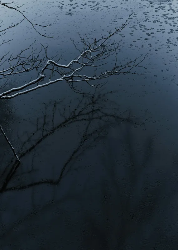 Tablou Canvas, "Reflecții și tăcere sub ploaie", Ramură, Reflexie, Apă, Ploaie, Umbre, Întuneric, Liniște, 50 x 70 cm – poza 2