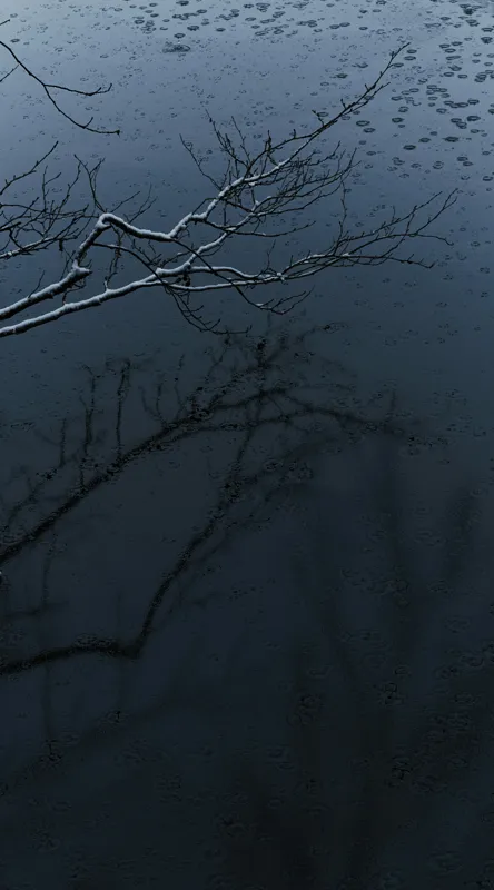 Tablou Canvas, "Reflecții și tăcere sub ploaie", Ramură, Reflexie, Apă, Ploaie, Umbre, Întuneric, Liniște, 50 x 90 cm – poza 2